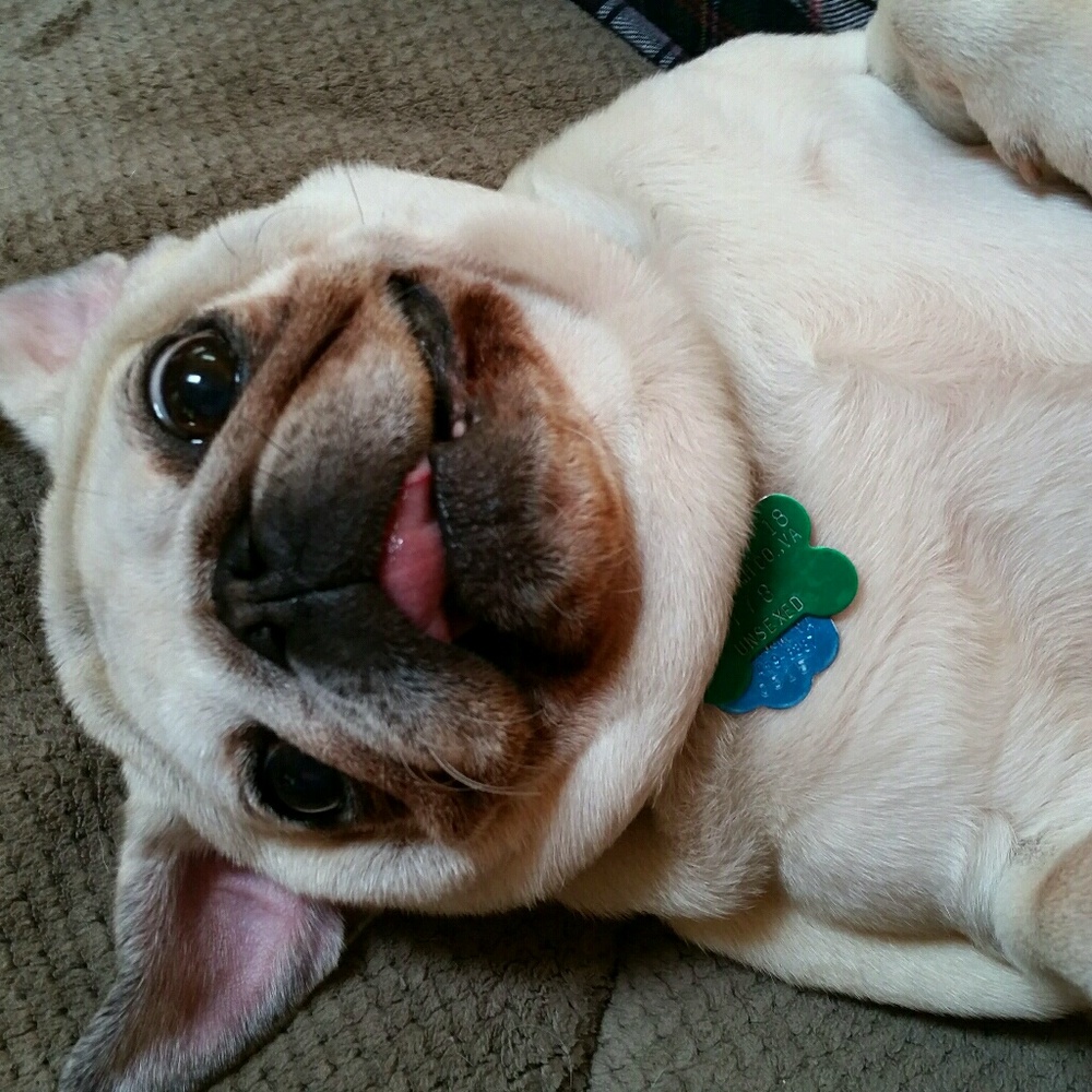 Meet your Posher, Christine